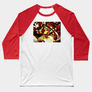 Wings Like Cathedral Windows Baseball T-Shirt